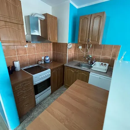 Elefant 021 노비사드