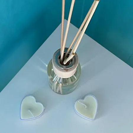 Elefant 021 * 노비사드