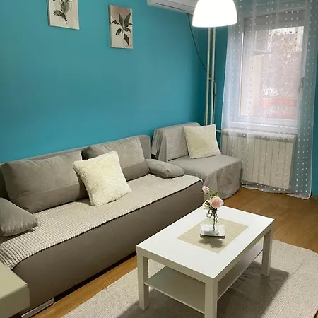 Elefant 021 노비사드