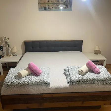 Elefant 021 * 노비사드