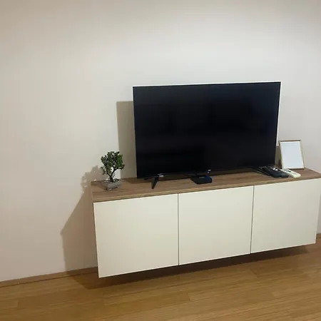 Elefant 021 Novi Sad