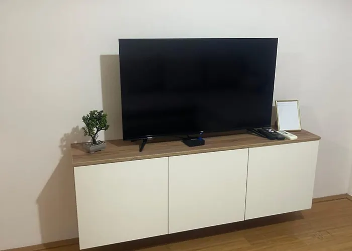 Elefant 021 Novi Sad