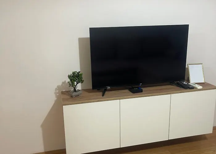 Elefant 021 Novi Sad